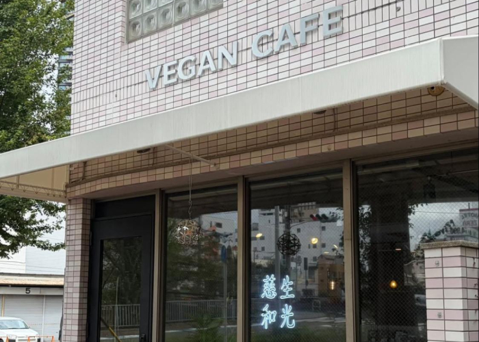 「こ」Vegan Cafe ― 静かな空間で楽しむヴィーガンカフェ