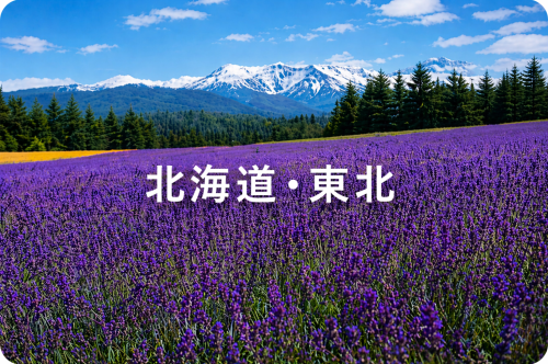 ChatGPT Image 2026年4月22日 00_49_33